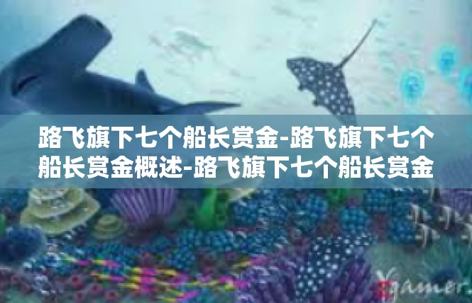 路飞旗下七个船长赏金-路飞旗下七个船长赏金概述-路飞旗下七个船长赏金