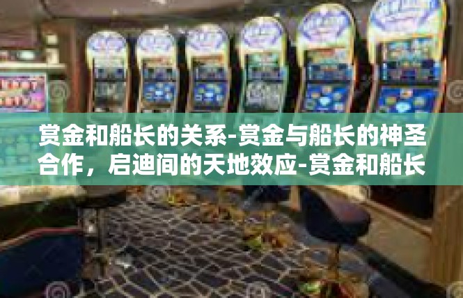 赏金和船长的关系-赏金与船长的神圣合作，启迪间的天地效应-赏金和船长的关系
