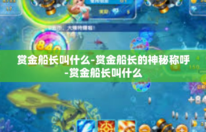 赏金船长叫什么-赏金船长的神秘称呼-赏金船长叫什么
