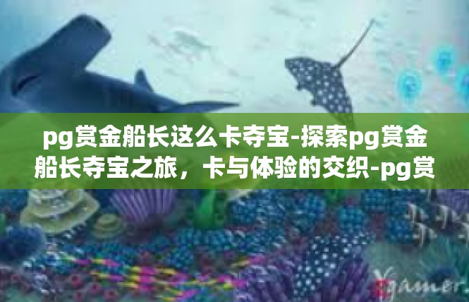pg赏金船长这么卡夺宝-探索pg赏金船长夺宝之旅，卡与体验的交织-pg赏金船长这么卡夺宝