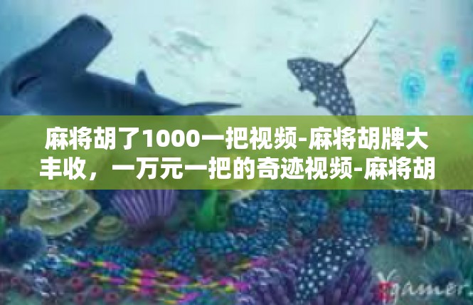 麻将胡了1000一把视频-麻将胡牌大丰收，一万元一把的奇迹视频-麻将胡了1000一把视频