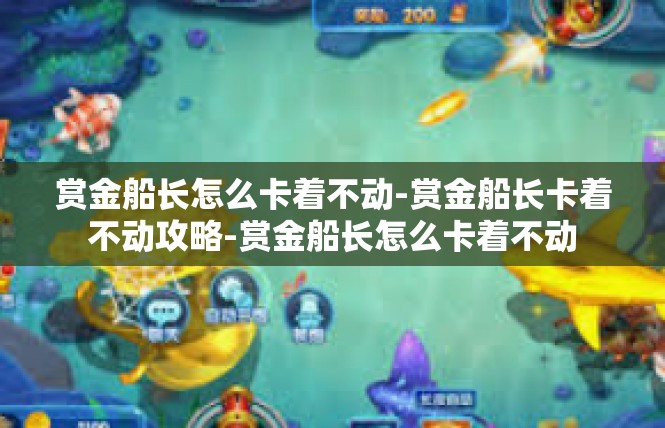 赏金船长怎么卡着不动-赏金船长卡着不动攻略-赏金船长怎么卡着不动