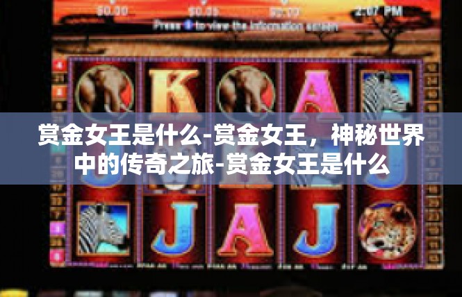 赏金女王是什么-赏金女王，神秘世界中的传奇之旅-赏金女王是什么