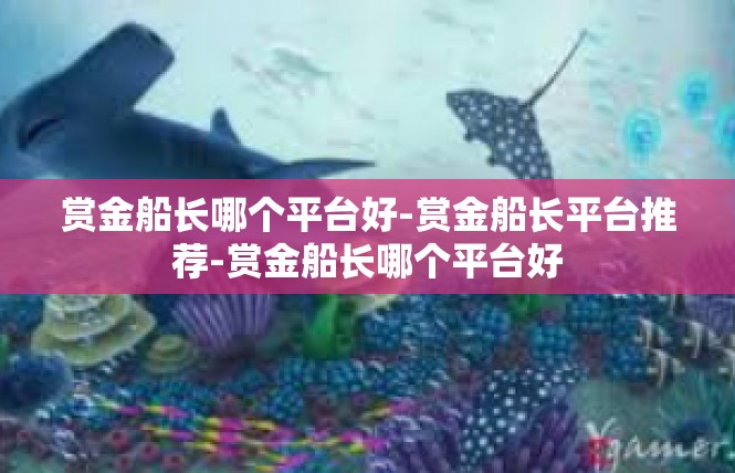 赏金船长哪个平台好-赏金船长平台推荐-赏金船长哪个平台好