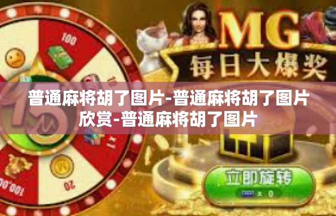 普通麻将胡了图片-普通麻将胡了图片欣赏-普通麻将胡了图片