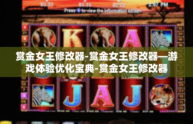 赏金女王修改器-赏金女王修改器—游戏体验优化宝典-赏金女王修改器