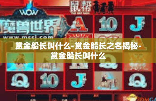 赏金船长叫什么-赏金船长之名揭秘-赏金船长叫什么