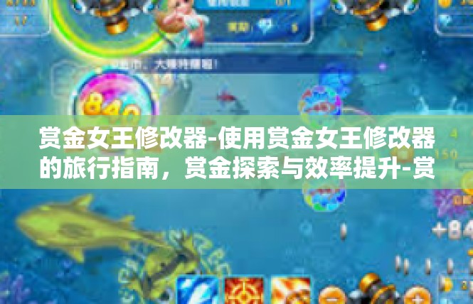 赏金女王修改器-使用赏金女王修改器的旅行指南，赏金探索与效率提升-赏金女王修改器