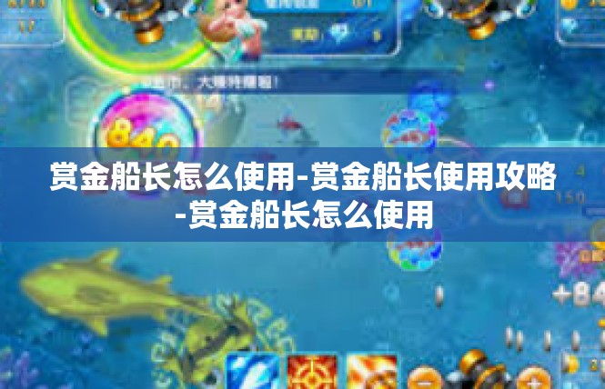 赏金船长怎么使用-赏金船长使用攻略-赏金船长怎么使用