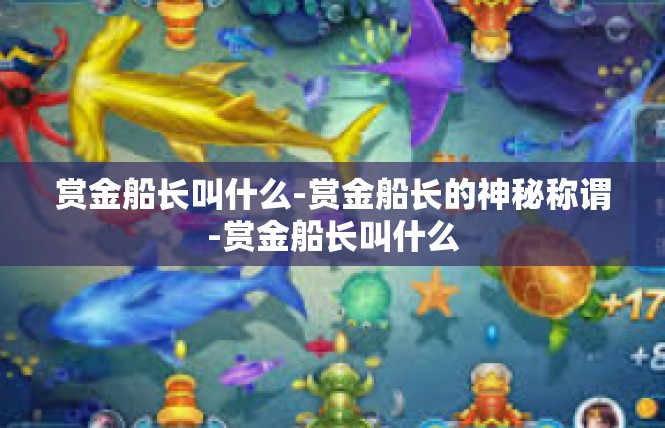 赏金船长叫什么-赏金船长的神秘称谓-赏金船长叫什么