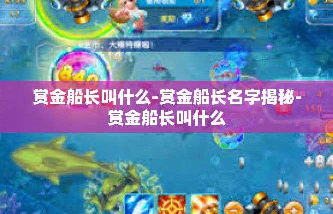 赏金船长叫什么-赏金船长名字揭秘-赏金船长叫什么