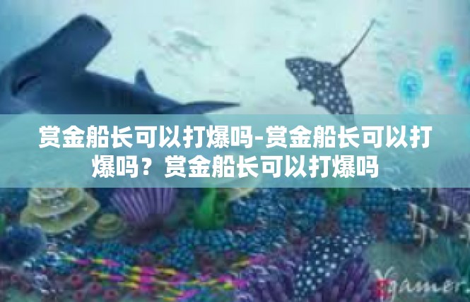 赏金船长可以打爆吗-赏金船长可以打爆吗？赏金船长可以打爆吗