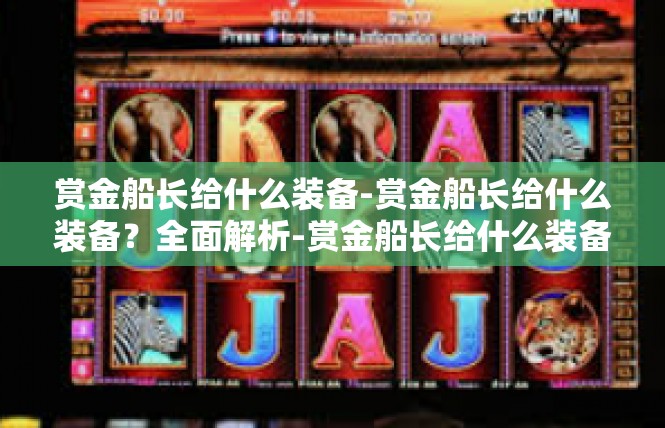 赏金船长给什么装备-赏金船长给什么装备？全面解析-赏金船长给什么装备