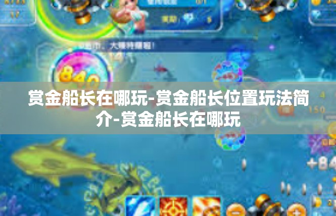 赏金船长在哪玩-赏金船长位置玩法简介-赏金船长在哪玩