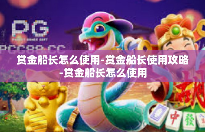 赏金船长怎么使用-赏金船长使用攻略-赏金船长怎么使用