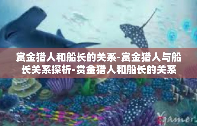 赏金猎人和船长的关系-赏金猎人与船长关系探析-赏金猎人和船长的关系