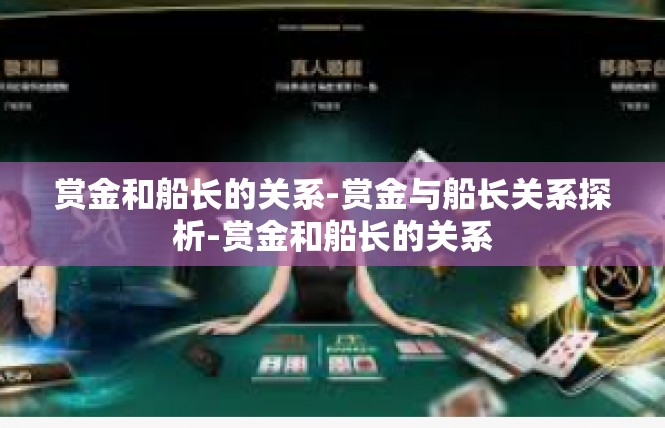 赏金和船长的关系-赏金与船长关系探析-赏金和船长的关系