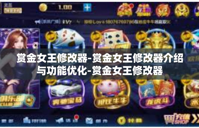 赏金女王修改器-赏金女王修改器介绍与功能优化-赏金女王修改器
