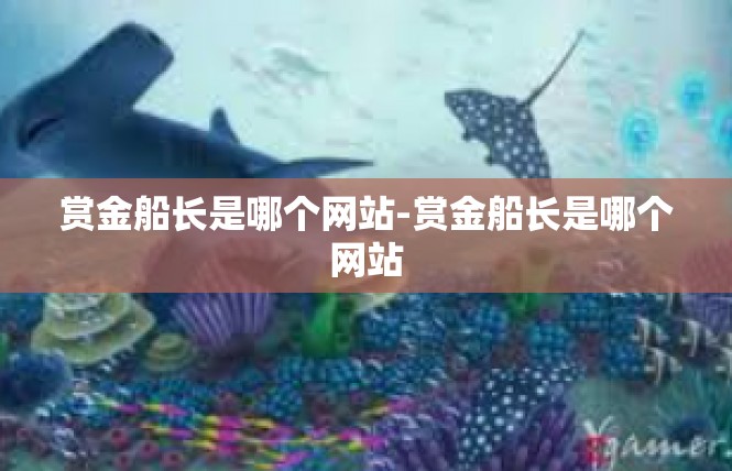 赏金船长是哪个网站-赏金船长是哪个网站