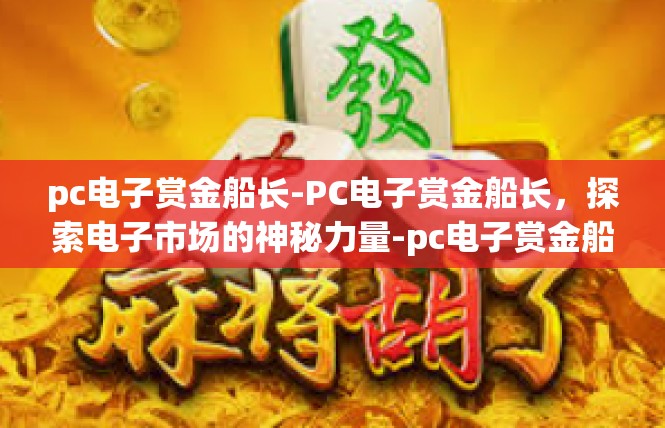 pc电子赏金船长-PC电子赏金船长，探索电子市场的神秘力量-pc电子赏金船长