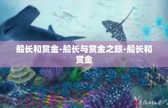 船长和赏金-船长与赏金之旅-船长和赏金