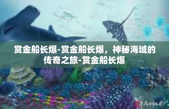 赏金船长爆-赏金船长爆，神秘海域的传奇之旅-赏金船长爆