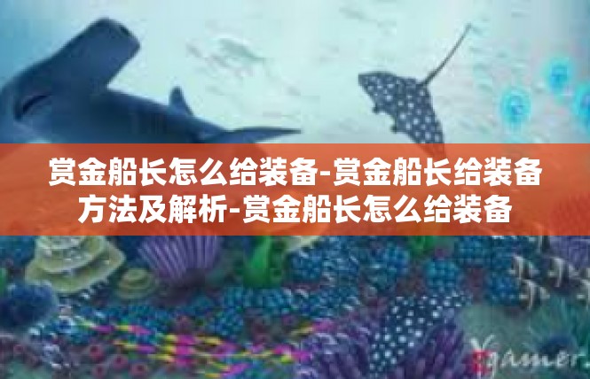 赏金船长怎么给装备-赏金船长给装备方法及解析-赏金船长怎么给装备