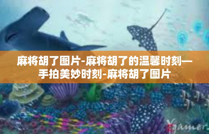 麻将胡了图片-麻将胡了的温馨时刻—手拍美妙时刻-麻将胡了图片