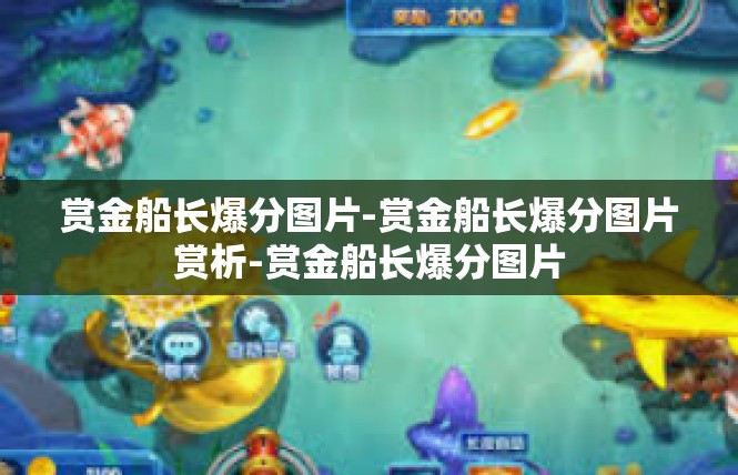赏金船长爆分图片-赏金船长爆分图片赏析-赏金船长爆分图片