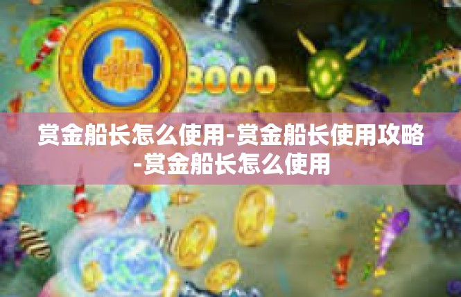 赏金船长怎么使用-赏金船长使用攻略-赏金船长怎么使用