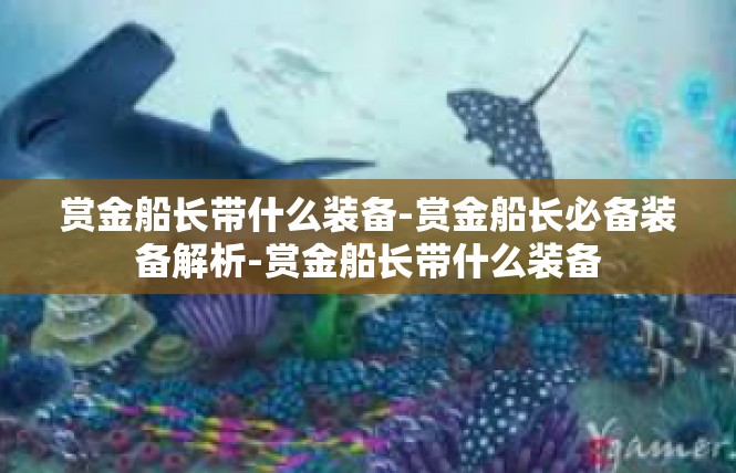 赏金船长带什么装备-赏金船长必备装备解析-赏金船长带什么装备