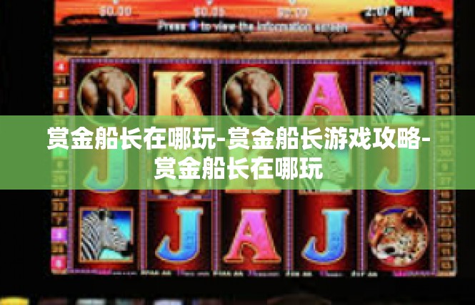 赏金船长在哪玩-赏金船长游戏攻略-赏金船长在哪玩