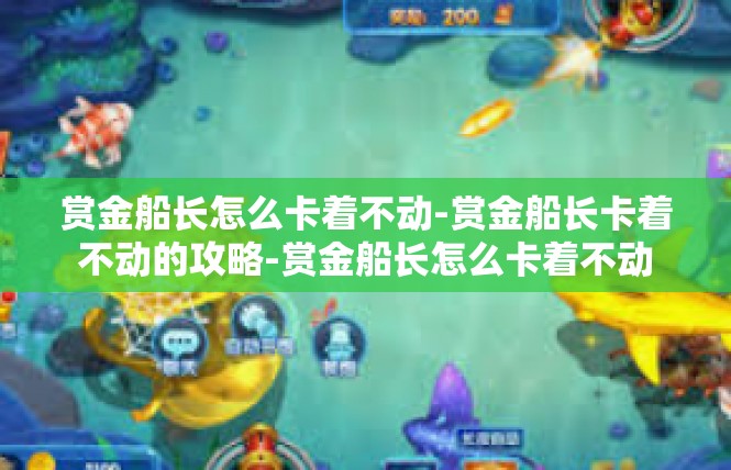 赏金船长怎么卡着不动-赏金船长卡着不动的攻略-赏金船长怎么卡着不动