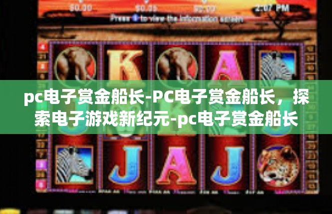 pc电子赏金船长-PC电子赏金船长，探索电子游戏新纪元-pc电子赏金船长