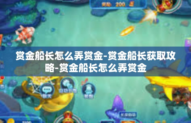 赏金船长怎么弄赏金-赏金船长获取攻略-赏金船长怎么弄赏金