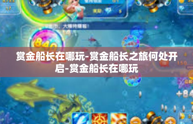 赏金船长在哪玩-赏金船长之旅何处开启-赏金船长在哪玩